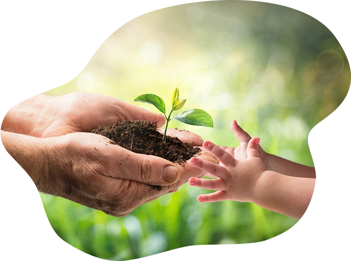 Safety and Environmental Protection